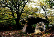le sentier des m�galithes